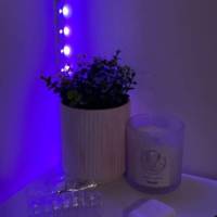 Profissional - Luana S.