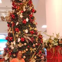 Profissional - Eliziane H.