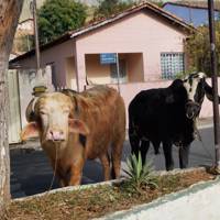 Foto de Loane M.