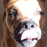 Foto de Emilly C.