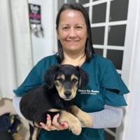 Foto de Viviane M.