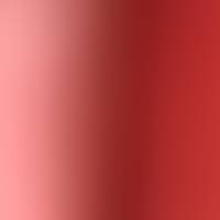 Profissional - Samara S.