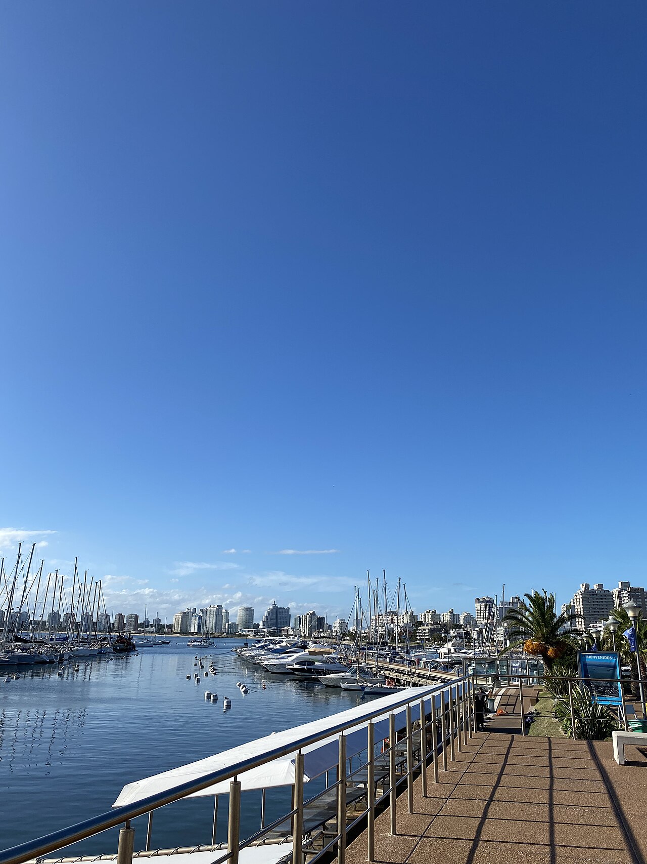 Moby Dick Punta