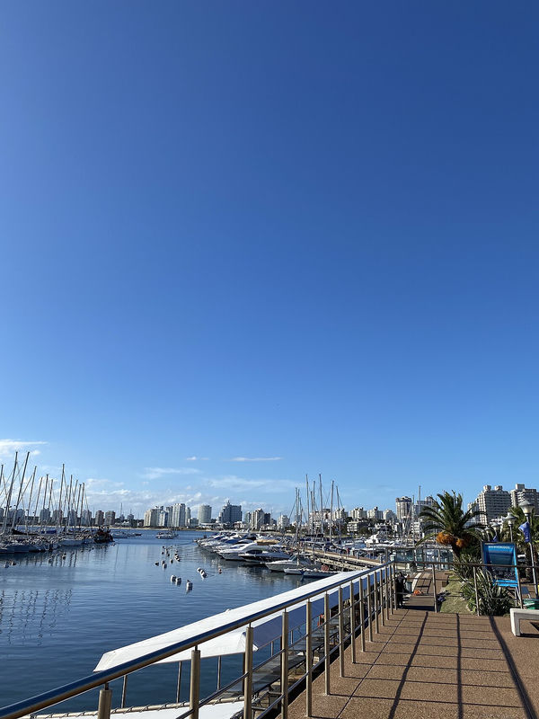 Moby Dick Punta