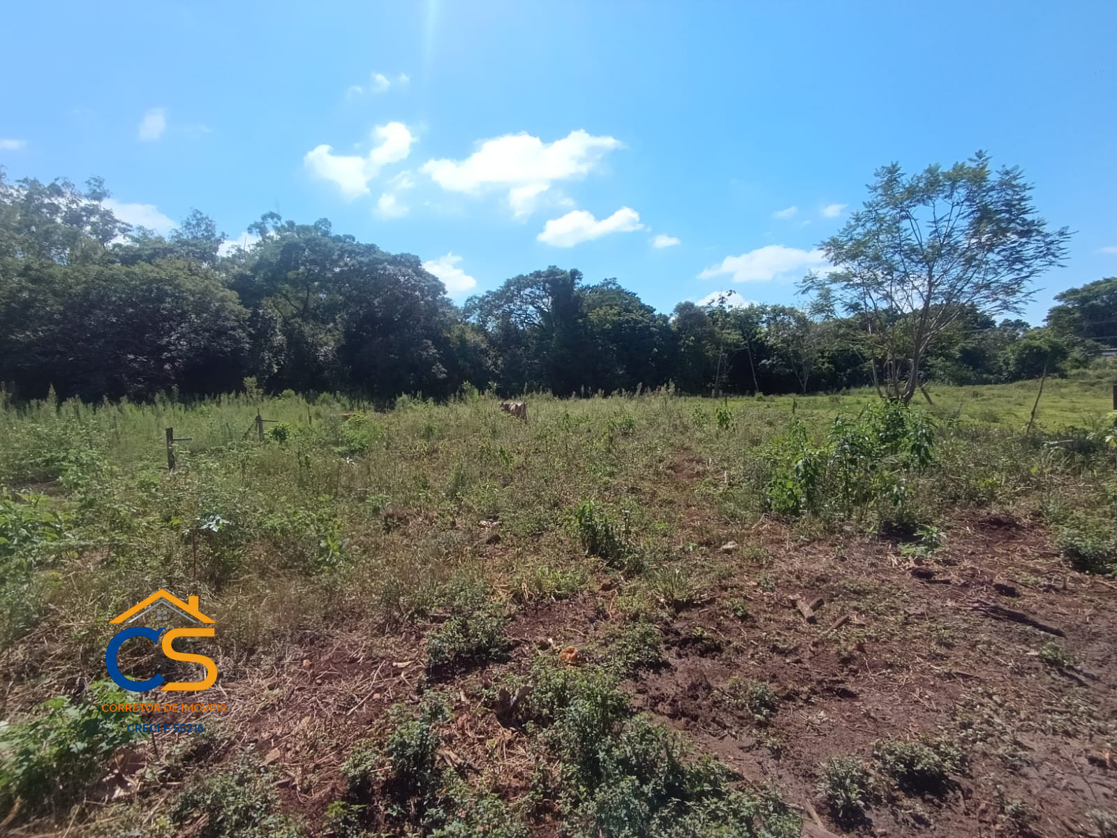 Vende-se Chácara em Itaipulândia - PR  Localizada no bairro Santa Inês - Foto 3