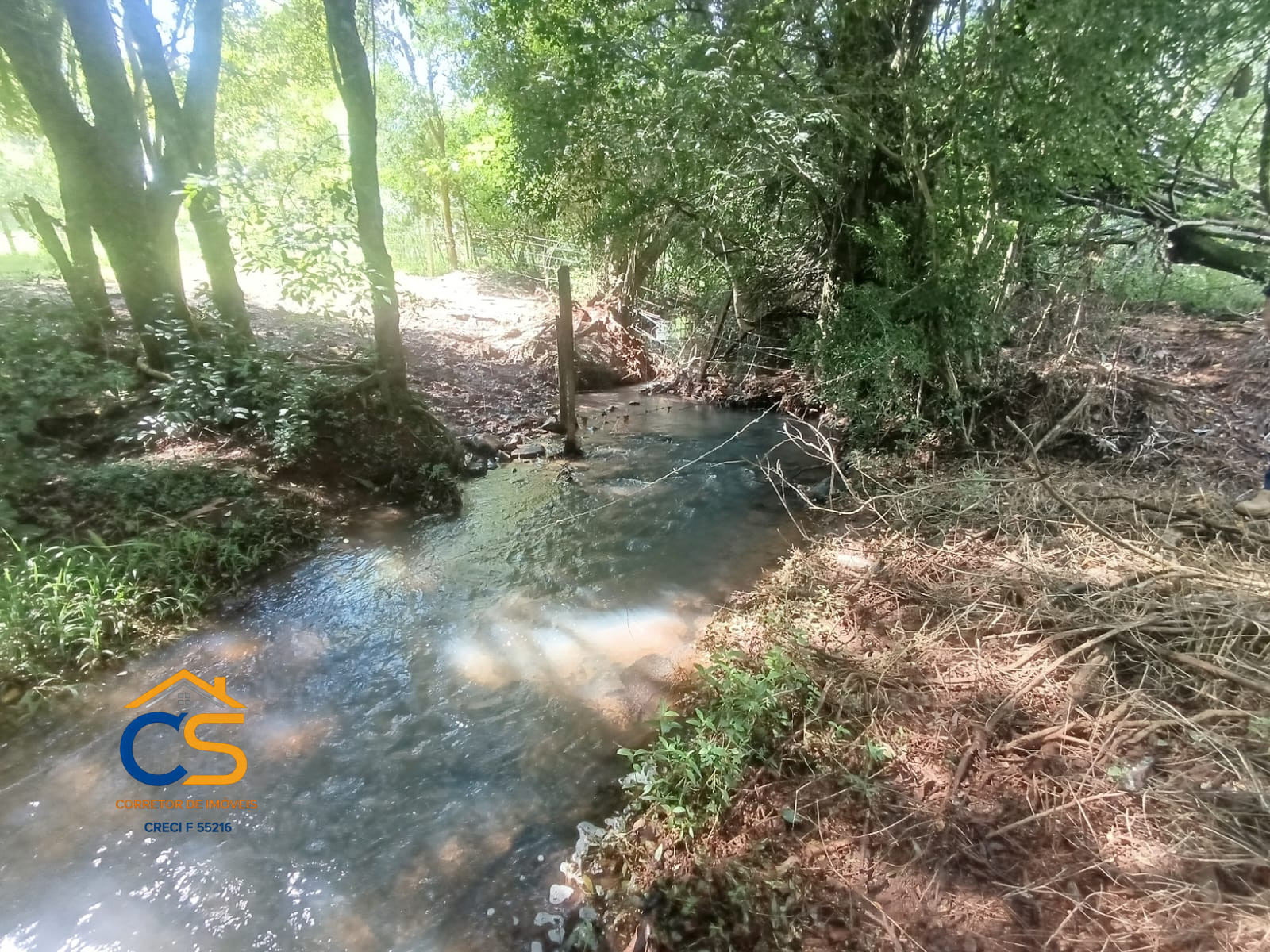 Vende-se Chácara em Itaipulândia - PR  Localizada no bairro Santa Inês - Foto 5