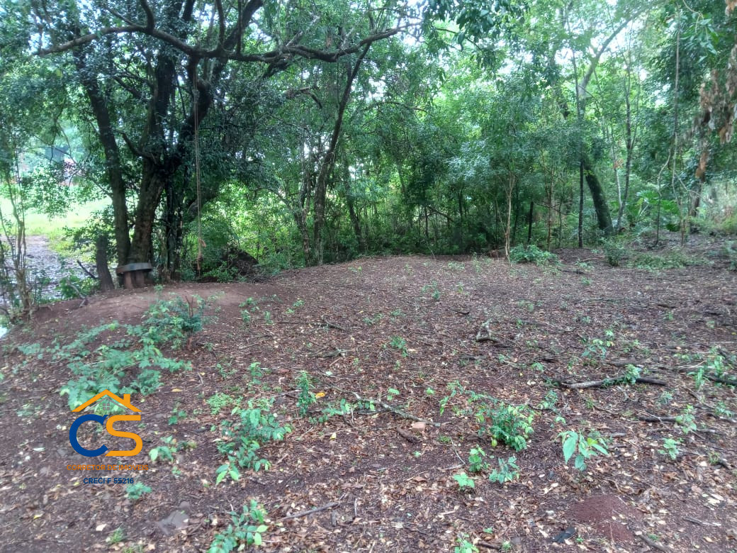 Vende-se Chácara em Itaipulândia - PR  Localizada no bairro Santa Inês - Imagem 7