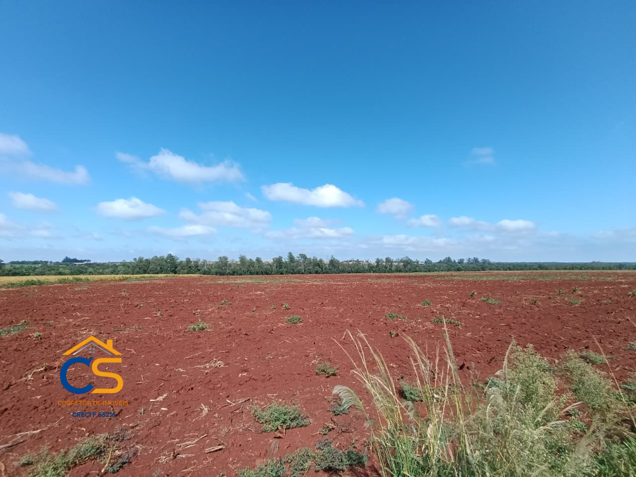 Vende-se Terra em Itaipulândia  Área medindo 1.6 alqueires - Imagem 1