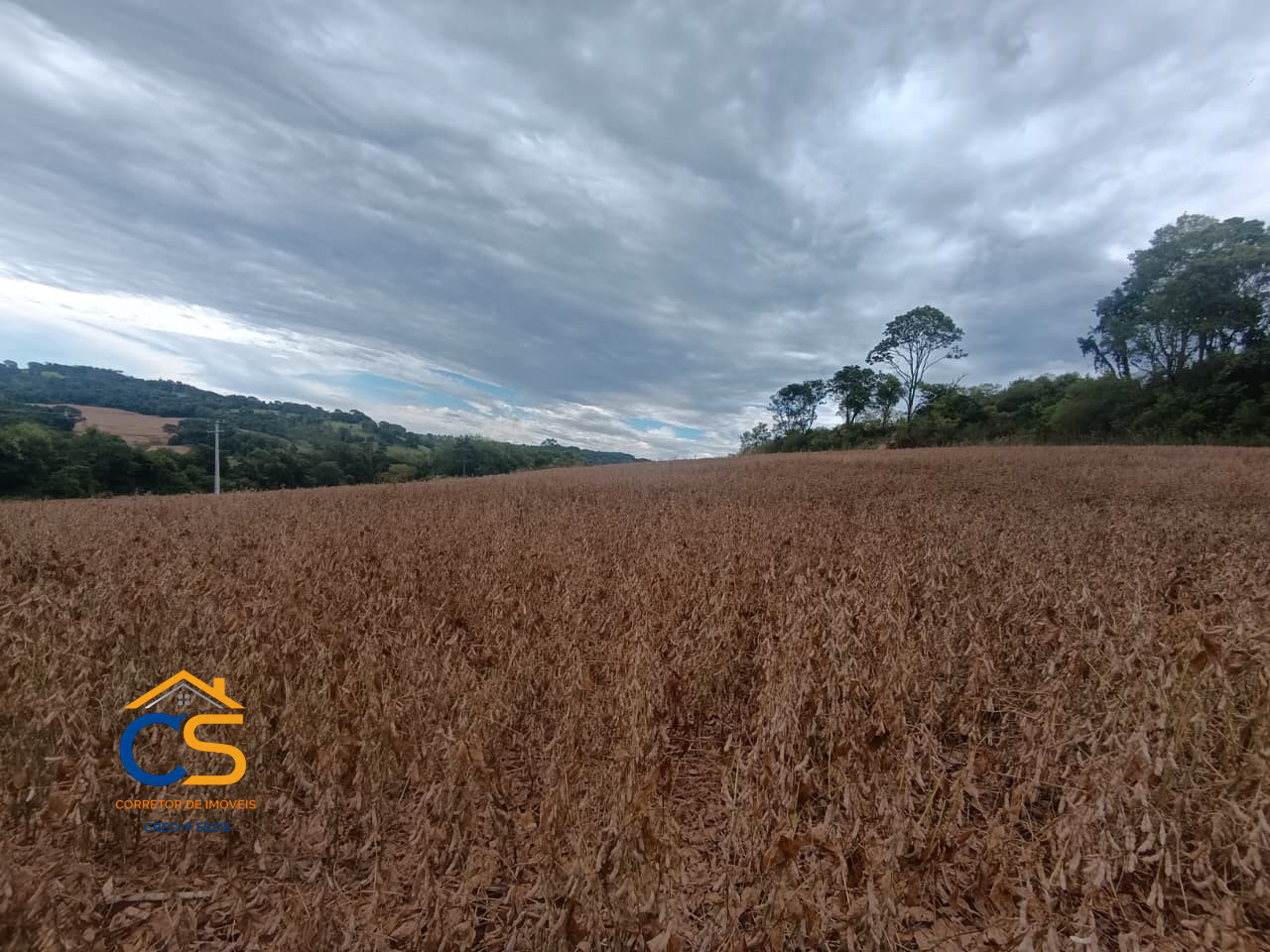 Vende-se Terra Missal-PR Linha São Sebastião - Imagem 1