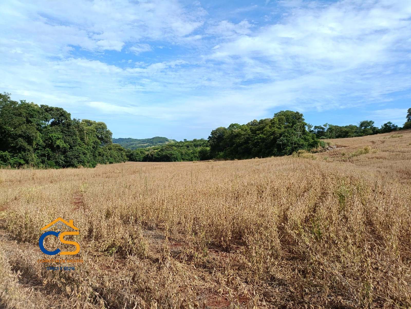 Vende-se Área rural sítio Linha Bandeirantes Missal PR - Imagem 1