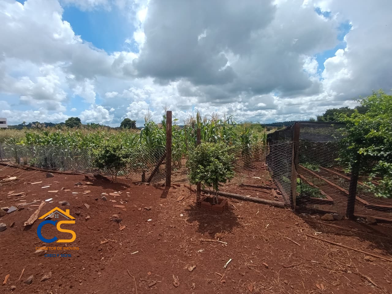 Vende-se Chacara Missal-PR - Imagem 4