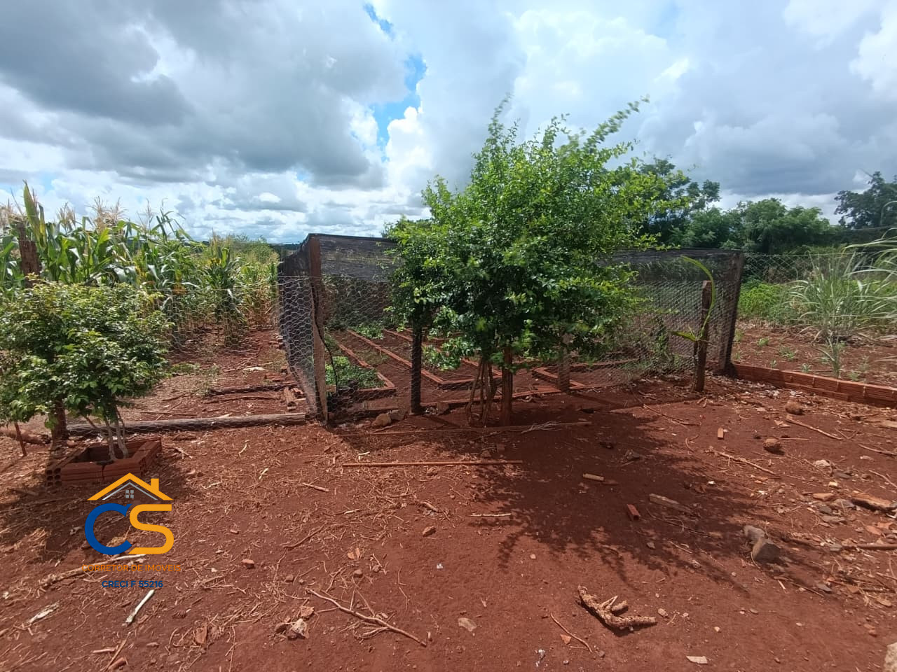 Vende-se Chacara Missal-PR - Imagem 5