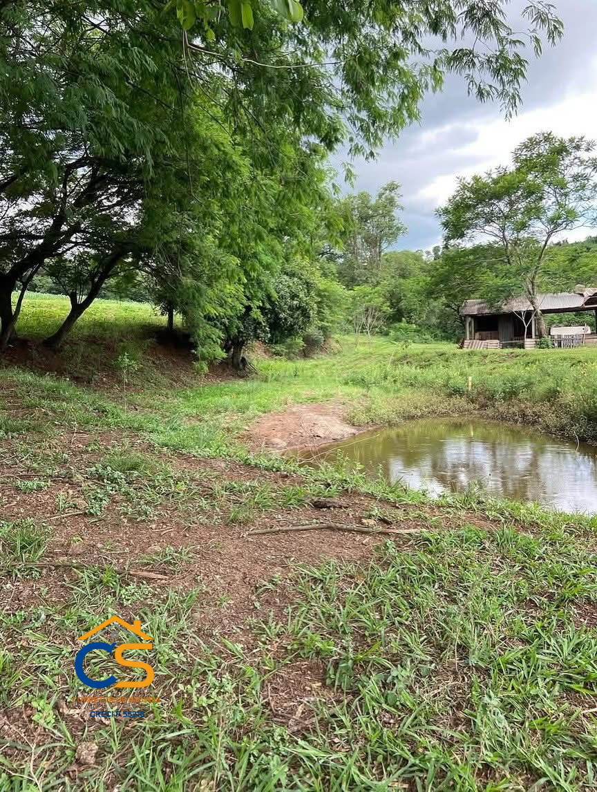 vende chácara na linha alegria - Imagem 11