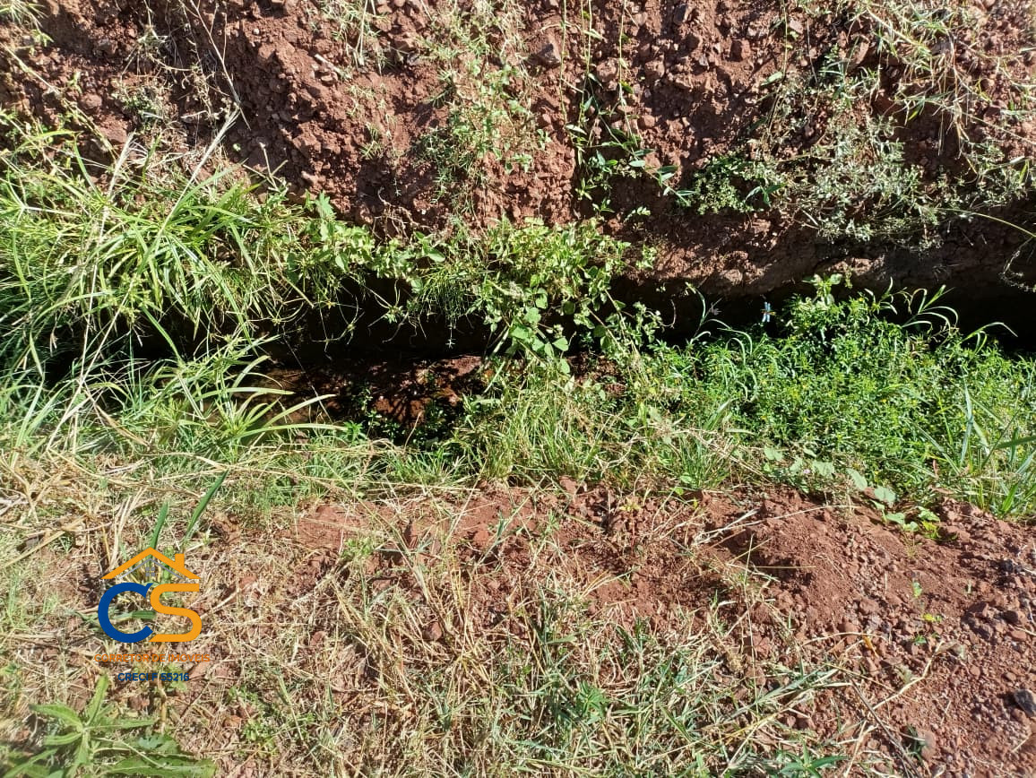 Vende-se Sitio Missal-PR - Imagem 9