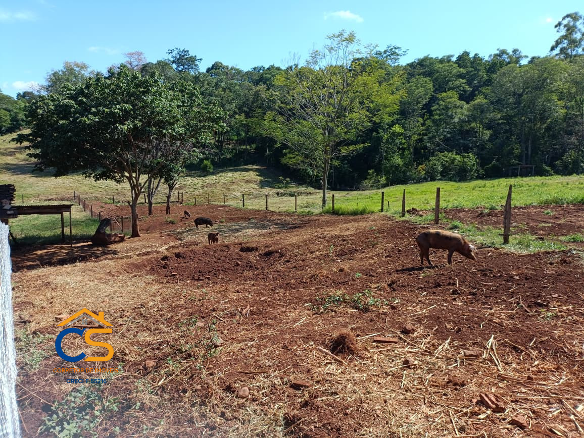 Vende-se Sitio Missal-PR - Imagem 12