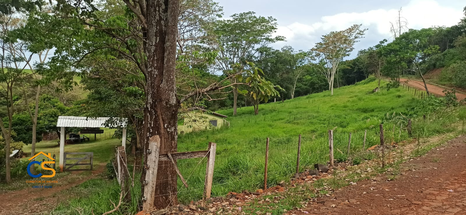 Vende-se sítio em são Miguel do Iguaçu - Imagem 7