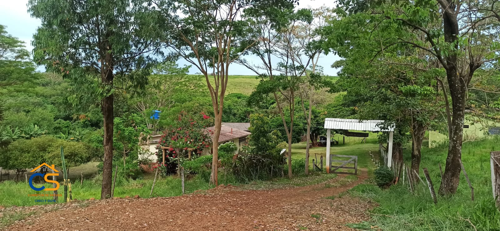 Vende-se sítio em são Miguel do Iguaçu - Imagem 11