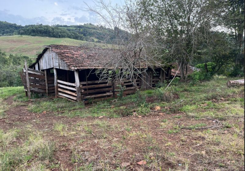 Gleba no Linha Salete (foto 3 de 8)