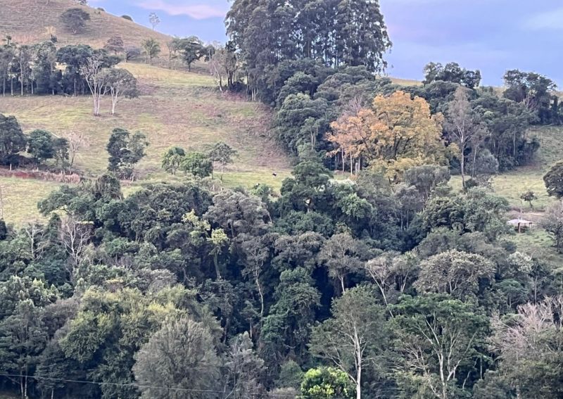 Gleba no Linha Salete (foto 6 de 8)