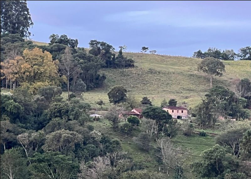 Gleba no Linha Salete (foto 7 de 8)