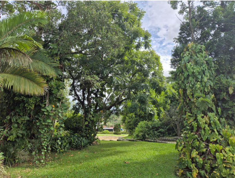 Casa no Areião (foto 4 de 17)