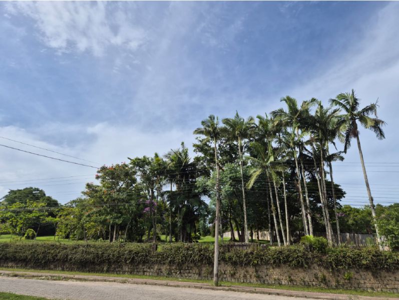 Casa no Areião (foto 10 de 17)
