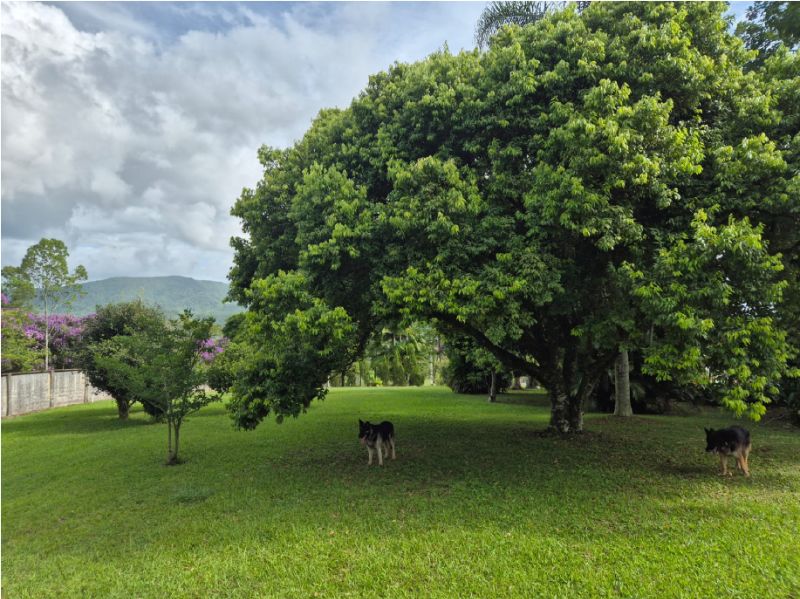 Casa no Areião (foto 16 de 17)