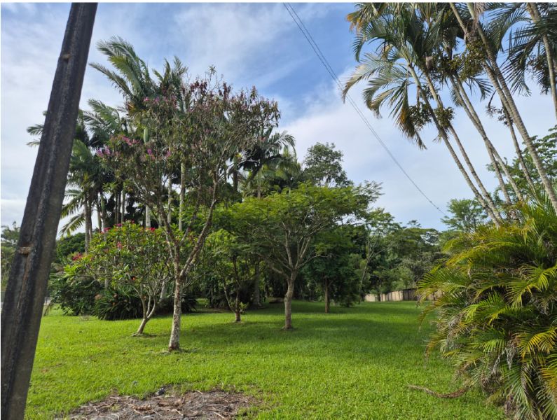 Casa no Areião (foto 14 de 17)