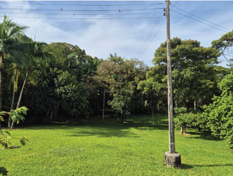 Casa no Areião (foto 15 de 17)