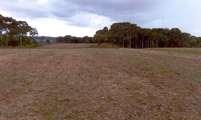 Uma área rural, com área de 242.000m².