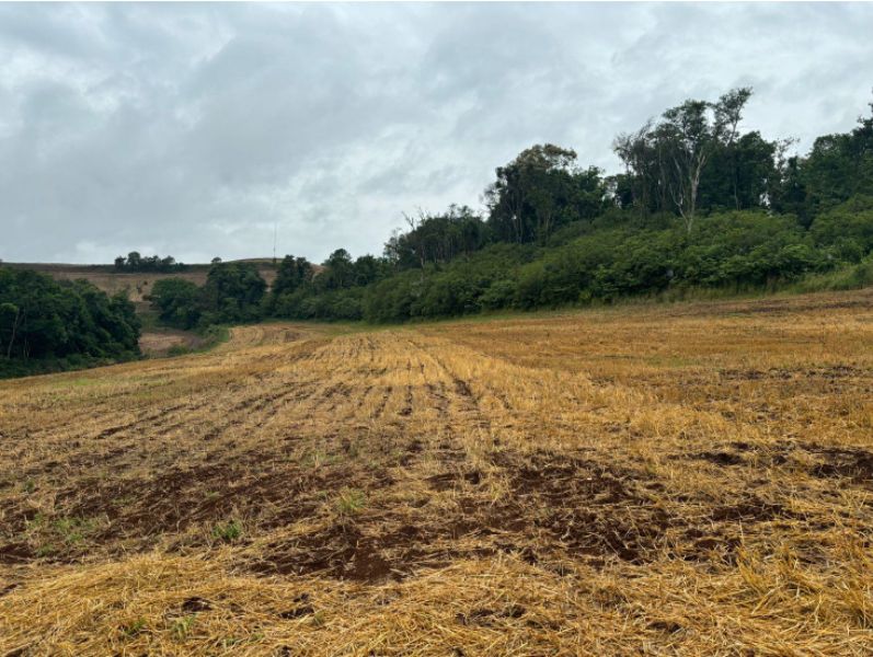 Terra de cultura e mato, com área de 96,800m².