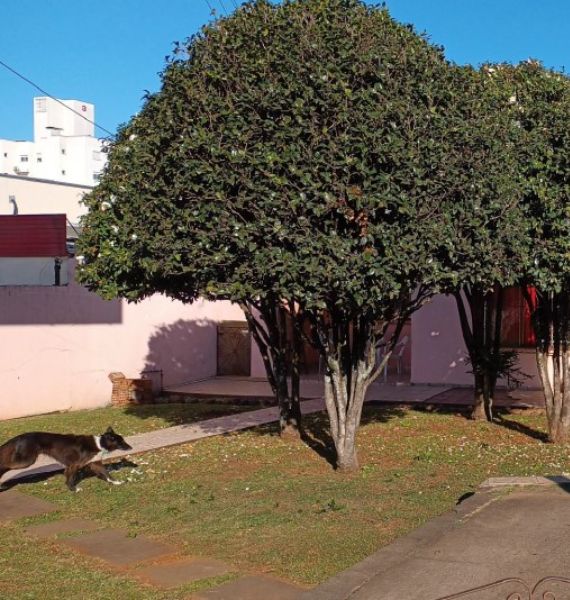 Lotes urbanos com 400m², São Miguel do Oeste (SC), localizado em São Miguel Do Oeste - SC