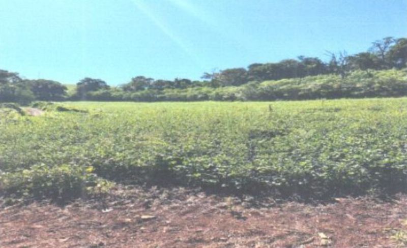 Àrea de terras de cultura e matos, São Domingos
