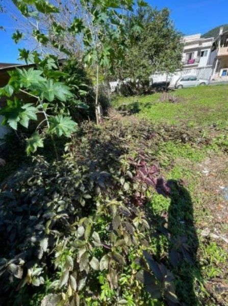 Terreno com a área de 17.050,00m², localizado em Balneário Camboriú - SC
