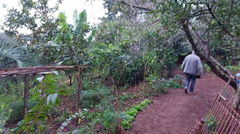 Fração ideal de 50% do terreno urbano em Planalto, localizado em Planalto - RS