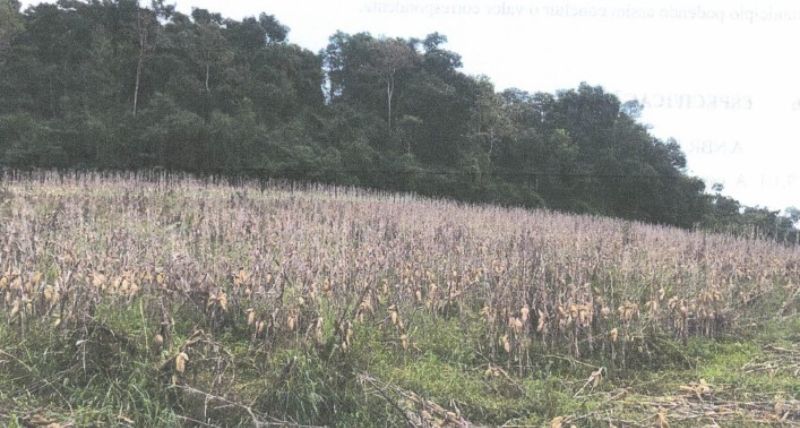 Lote rural com área de 35.000m²,São João do Oeste, localizado em São João Do Oeste - SC