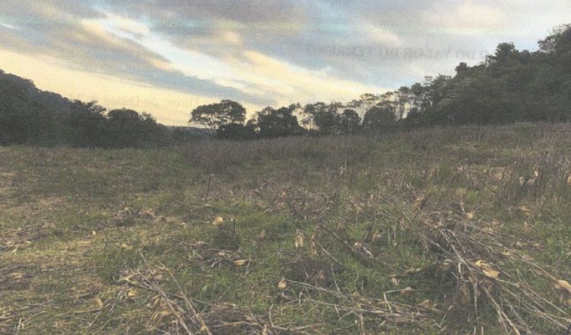 Lote rural com área de 35.000m²,São João do Oeste