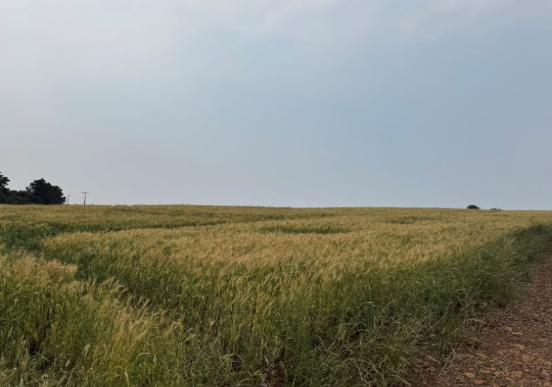 Área ideal de terras com 8.800,00m², chapecó (sc).
