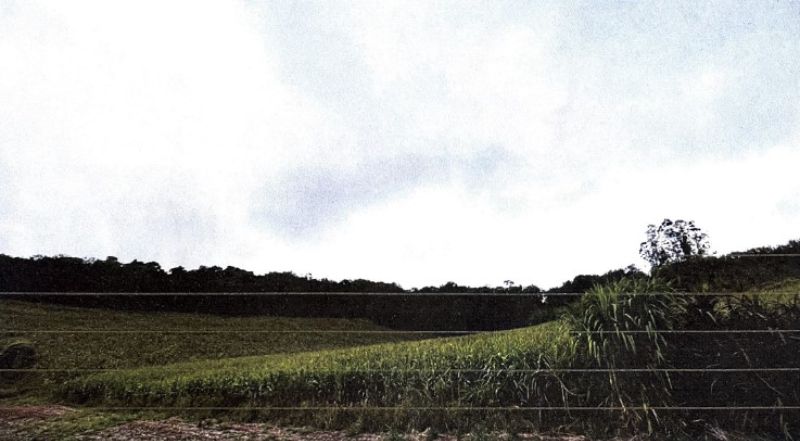 Lote rural com área total remanescente de 62.500m², localizado em Boa Vista Do Buricá - RS