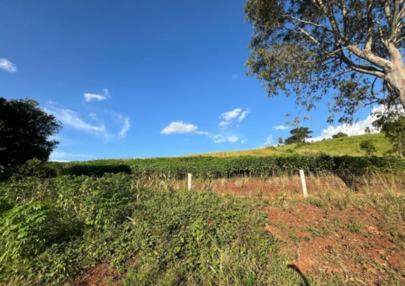 Fração ideal do Lote Rural com a área 242.000,00m², localizado em Anchieta - SC