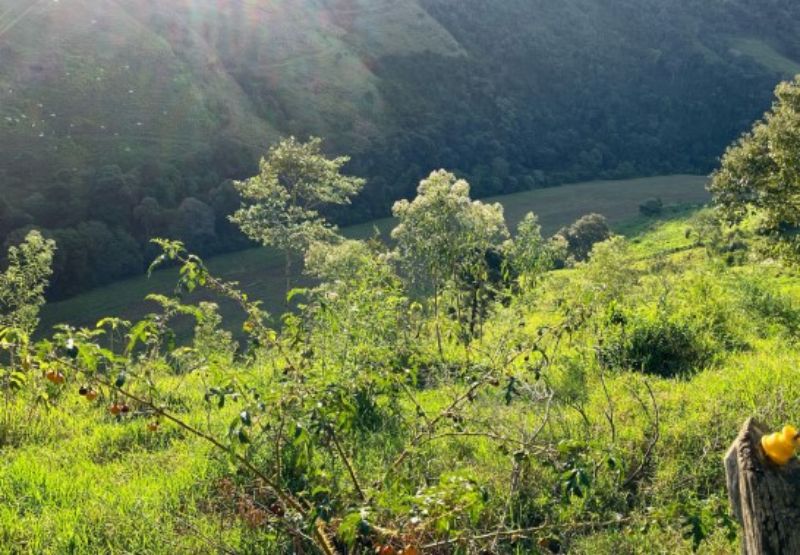 Fração ideal do Lote Rural com a área 242.000,00m², localizado em Anchieta - SC