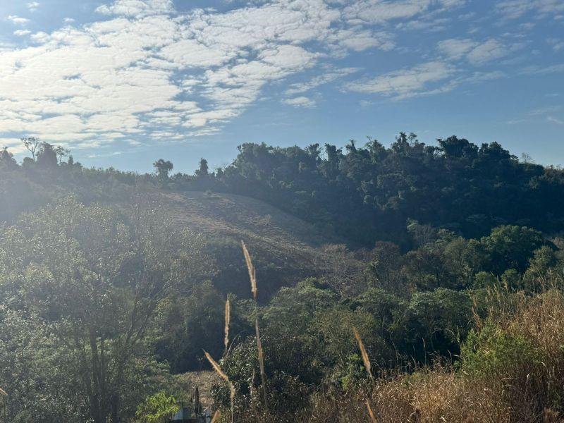 Fração de terras, com área de 100.000m², localizado em Tres Passos - RS