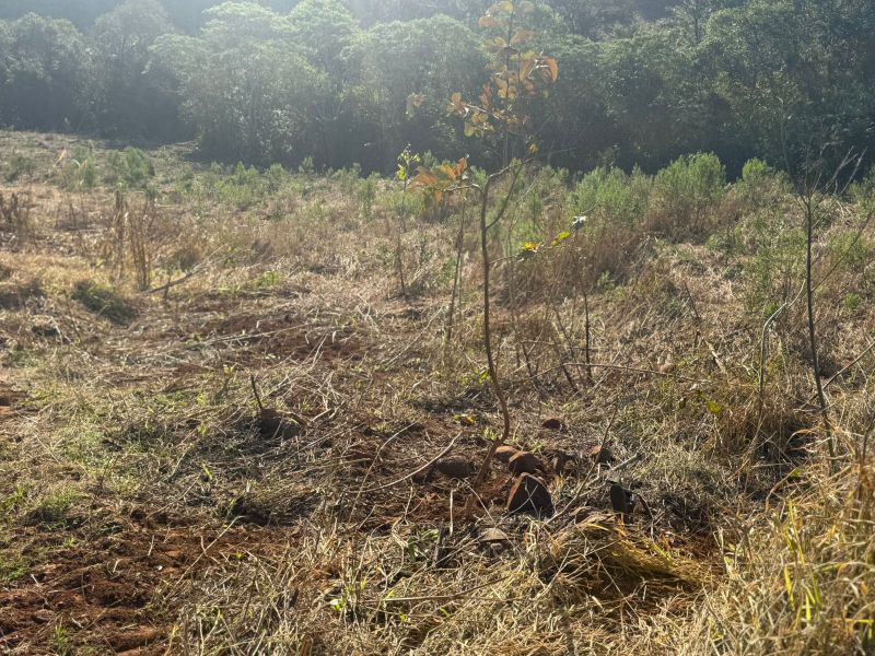 Fração de terras, com área de 100.000m², localizado em Tres Passos - RS