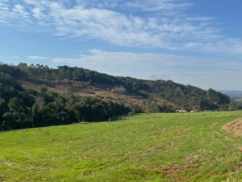Fração de terras, com área de 100.000m², localizado em Tres Passos - RS