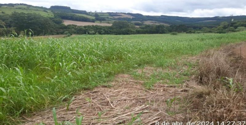 Lote rural com a área de 121.0000m². Saltinho