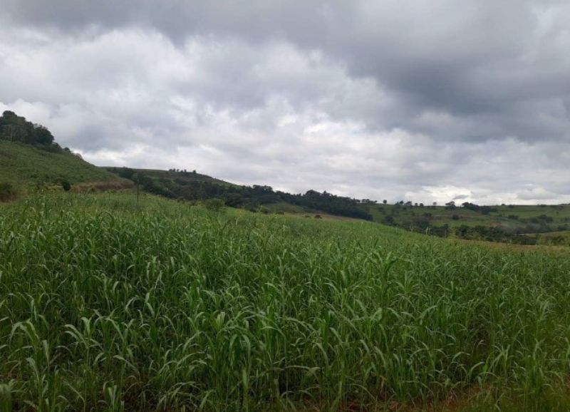Lote rural com a área de 121.0000m². Saltinho, localizado em Campo Erê - SC