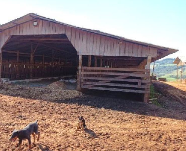 Lote rural com a área de 84.700m², Saltinho/SC, localizado em Saltinho - SC