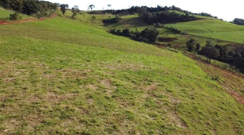 Lote rural com a área de 84.700m², Saltinho/SC, localizado em Saltinho - SC
