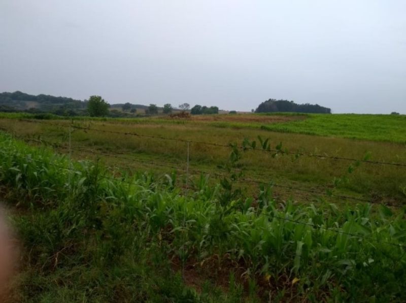 Fração ideal do lote rural, Chpecó (SC), localizado em Chapecó - SC