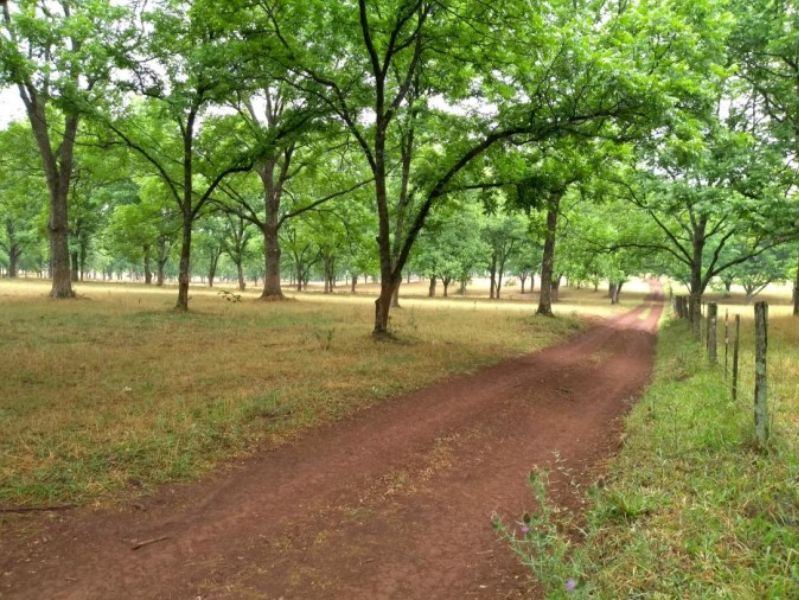 Fração ideal do lote rural, Chpecó (SC), localizado em Chapecó - SC